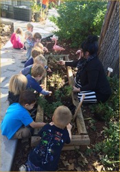 kids learn how to grow in a garden