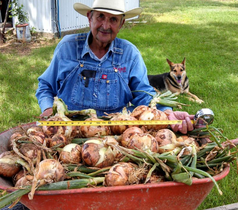 farmer with fresh onion harvest