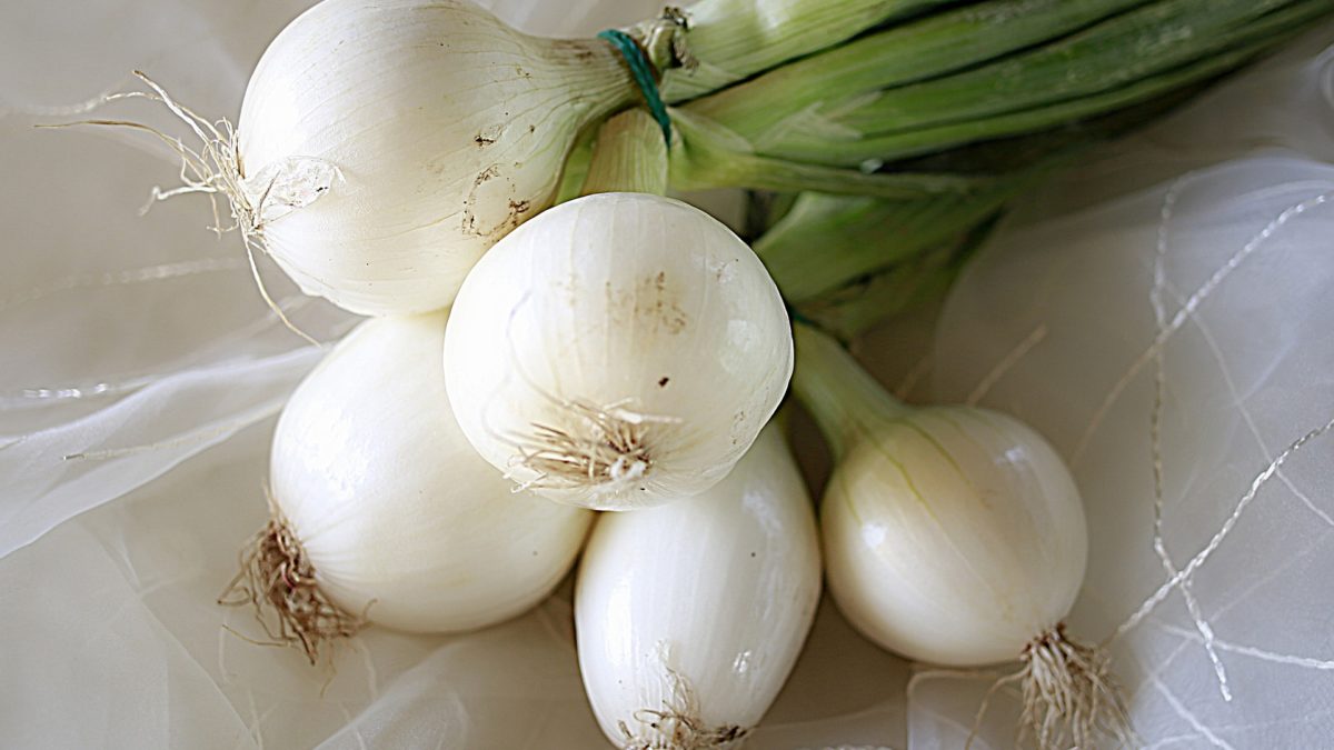 fall onions