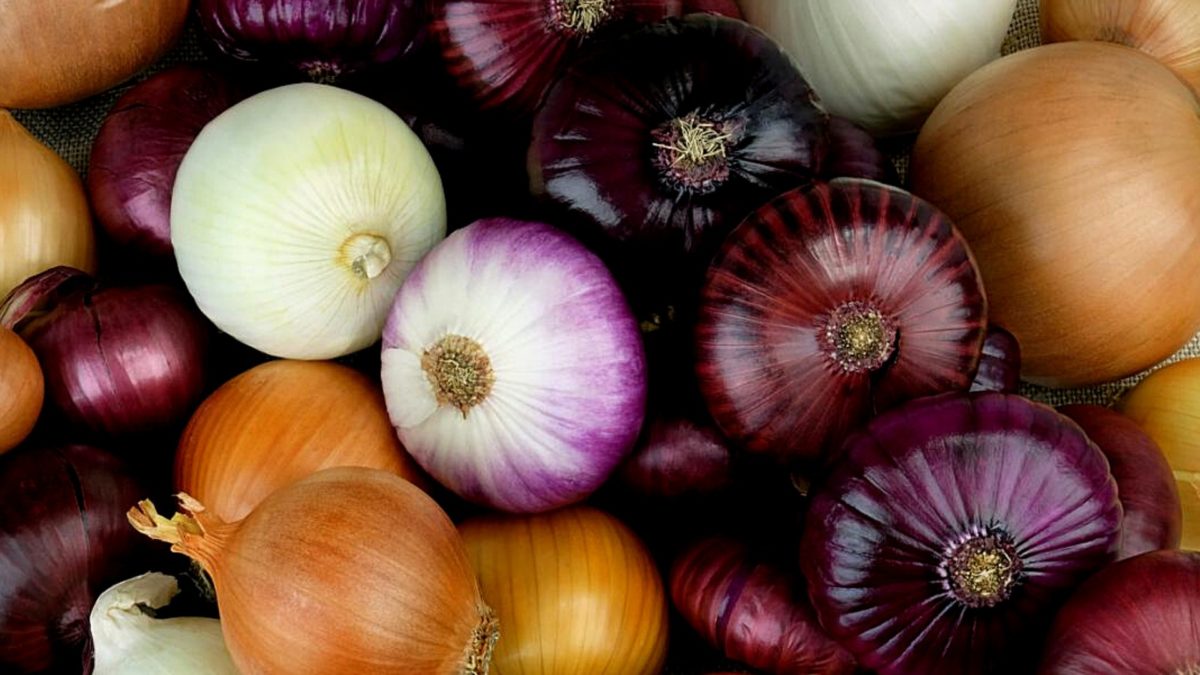 what makes onions sweet