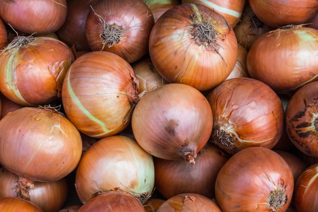 growing onions in containers