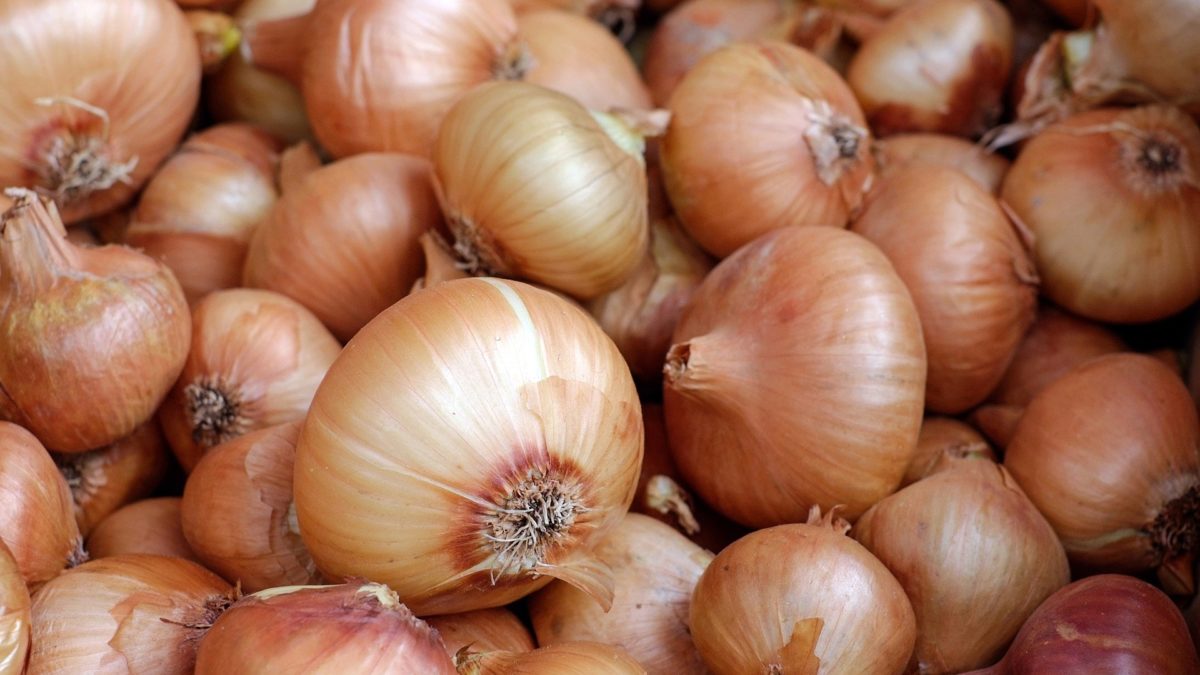 onion size